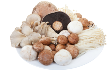Common Mushrooms
